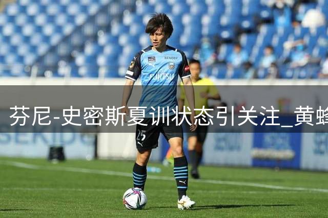 芬尼-史密斯夏训状态引关注 黄蜂新援能否重拾巅峰表现？